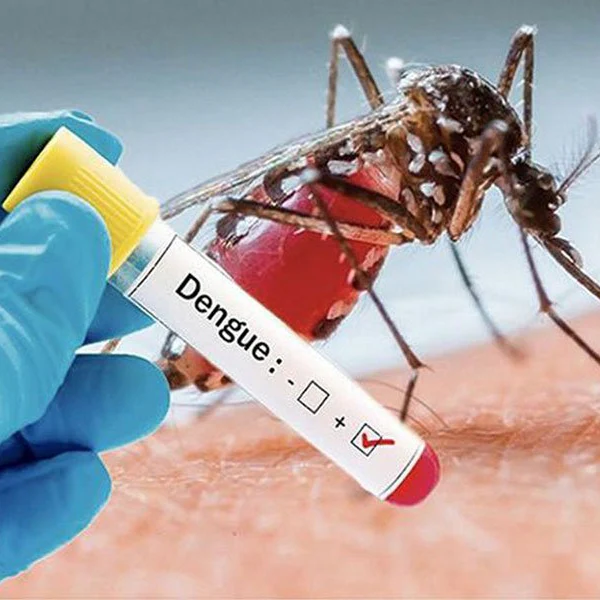 Dengue / Malaria Testing 